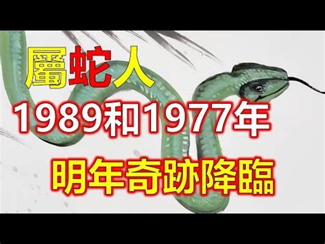 1989 蛇 五行